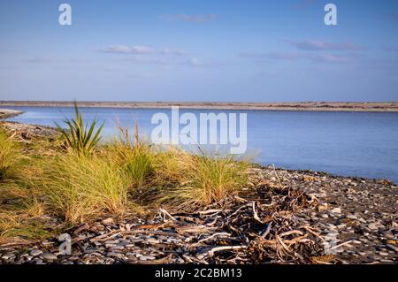 Morgenlicht in der Okarito Lagune an der Westküste der Südinsel Neuseelands. Stockfoto