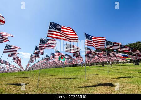 Amerikanische Flaggen fliegen auf dem Campus-Gelände, um den unschuldigen Opfern des Angriffs auf das World Trade Center, das Pentagon und Flug 93 von 9/11 zu gedenken. Stockfoto