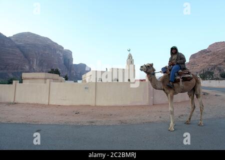 Kamel und Reiter wandern an der Moschee im Dorf Rum, Wadi Rum, Jordanien vorbei Stockfoto