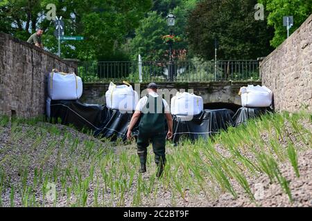 Bad Karlshafen, Deutschland. Juni 2020. Ein Mann überprüft den provisorischen Staudamm des Abzweigkanals zum Hafenbecken Bad Karlshafen, in dem junge Wasserpflanzen gepflanzt wurden. Die nordhessische Stadt will das Algenproblem ihres neuen Hafens in den Griff bekommen, indem sie in der leeren Einlassöffnung vom Diemel bis zum Becken pflanzt. Quelle: Uwe Zucchi/dpa/Alamy Live News Stockfoto