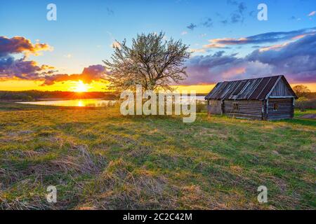 Alte Holzhütte und einsamer Baum bei Sonnenuntergang in der Landschaft im Frühling Stockfoto