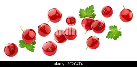 Rote Johannisbeere auf weißem Hintergrund mit Freistellungspfad isoliert Stockfoto