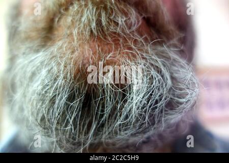 Old mans grauen Bart Nahaufnahme Stockfoto