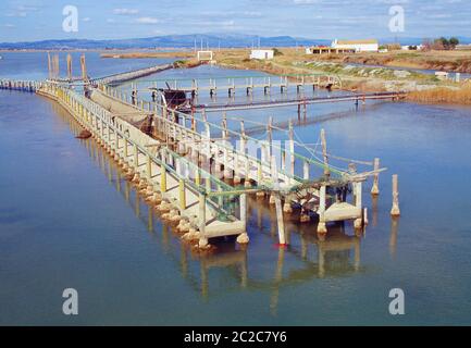 L'Encanyissada Lagune. Delta del Ebro Naturschutzgebiet, Provinz Tarragona, Katalonien, Spanien. Stockfoto