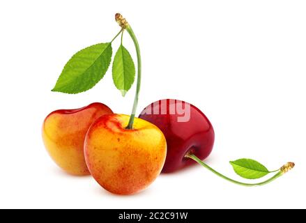 Gelbe Kirschen mit Stängel und Blätter auf weißem Hintergrund Stockfoto