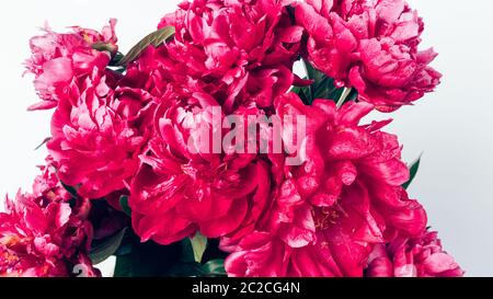 Nahaufnahme üppiger Bouquet von frischen rosa Pfingstrosen Blumen. Stockfoto