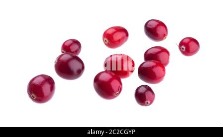 Frische Cranberries auf weißem Hintergrund Stockfoto