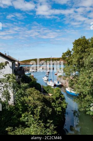 Der Hafen am Küstenfischerdorf Cemaes an der Nordküste von Anglesey Wales UK Stockfoto
