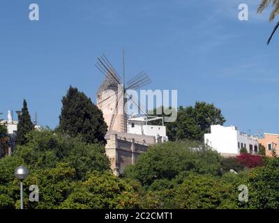 Mühle in Palma auf Mallorca Stockfoto
