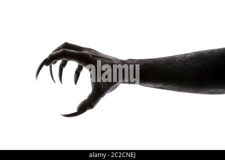 Gruselige monster Claw auf weißem Hintergrund mit Freistellungspfad isoliert Stockfoto