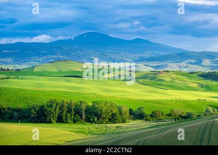 Wunderschöne Grüns in der Landschaft und mit Licht bemalt. Stockfoto