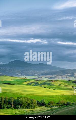 Wunderschöne Grüns in der Landschaft und mit Licht bemalt. Stockfoto