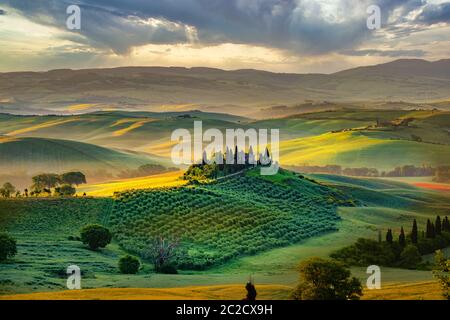 Wunderschöne Grüns in der Landschaft und mit Licht bemalt. Stockfoto