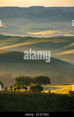 Wunderschöne Grüns in der Landschaft und mit Licht bemalt. Stockfoto