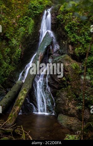 Wasserfall im Wald Stockfoto