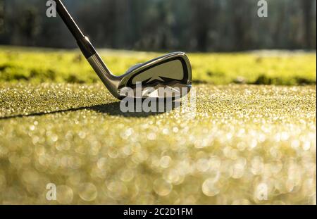 Golfclub und Golfball auf dem Golfplatz in der Schweiz. Stockfoto