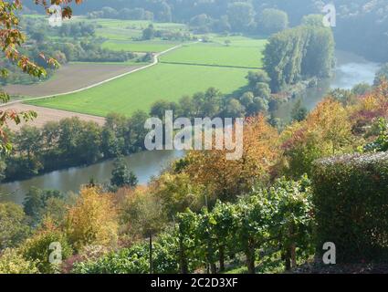 Idyllische Landschaft mit Weinbergen im Flusstal und Feldern und Wiesen Stockfoto
