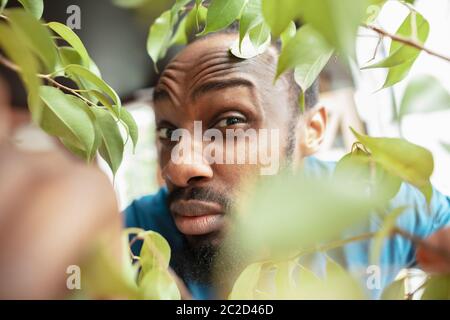 In grünen Heimpflanzen. afroamerikanischer Mann, der an ungewöhnlichen Orten in seinem Haus Arbeit sucht. Verrückte, lustige Art, Karriere zu finden und nach oben. Konzept von Krise, Arbeitslosigkeit, Finanzen, Unternehmen. Stockfoto
