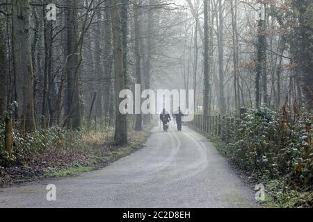 Ein Paar spaziert an einem nebeligen Morgen entlang des Pfades, St Fagans National Museum of History/Amgueddfa Werin Cymru, Cardiff, South Wales, Großbritannien. Stockfoto