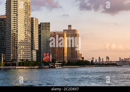 New York City/USA - 27.JULI 2018: Long Island City Blick von Roosevelt Island Stockfoto