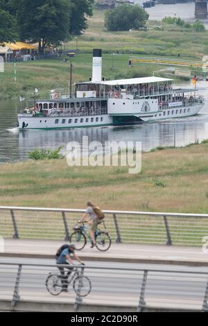 Dresden, Deutschland. Juni 2020. Der historische Raddampfer 'Dresden' der Sächsischen Dampfschiffahrt (SDS) fährt auf der Elbe Richtung Pillnitz. Im Vordergrund überqueren Radfahrer die Waldschlößchenbrücke. Quelle: Sebastian Kahnert/dpa-Zentralbild/ZB/dpa/Alamy Live News Stockfoto