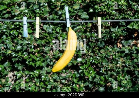 Eine Banane hängt ein Kabel in der open air Stockfoto