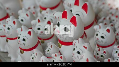 Japanischer traditioneller Gotokuji-Schrein mit vielen Katzenstatuen Stockfoto