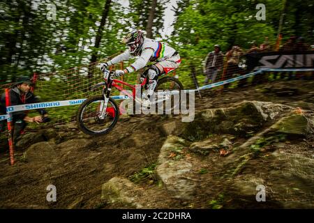 15. MAI 2010 - MARIBOR, SLOWENIEN. Steve Peat beim UCI Mountain Bike Downhill World Cup. Das Regenbogen Trikot des Weltmeisters tragen Stockfoto