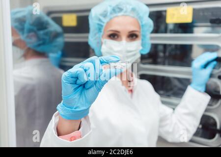 Arzt oder Wissenschaftler, die Schale mit Eizellen im Inkubator Stockfoto