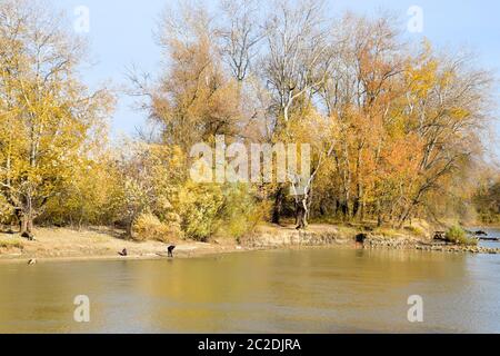 Slavjansk-na-Kubani, Russland - 9. September 2016: Fischer am Ufer des Flusses im Herbst. Angeln der Köder. Herbst Landschaft am Fluss. Stockfoto