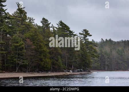 Der Mill Falls River in Nova Scotia, Kanada Stockfoto