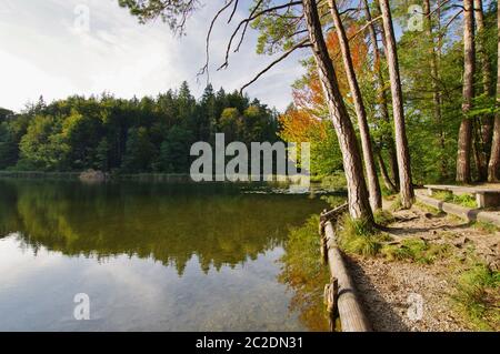 Kesselsee, EggstÃ¤tt, Chiemgau, Oberbayern, Deutschland Stockfoto