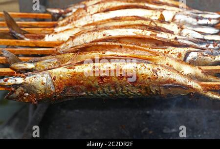 Nahaufnahme Kochen mehrere bonito Makrele fischen auf Holz Spieß Grill, hohe Betrachtungswinkel Stockfoto