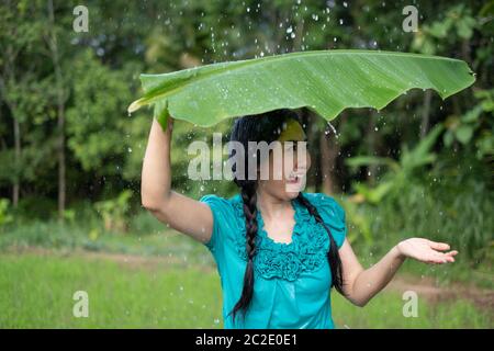 Porträt einer jungen Asienfrau mit schwarzem Haar, die ein Bananenblatt im Regen auf dem grünen Gartenhintergrund hält Stockfoto