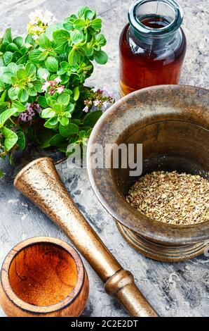 Oregano oder majoran Blätter in der Kräutermedizin Stockfoto