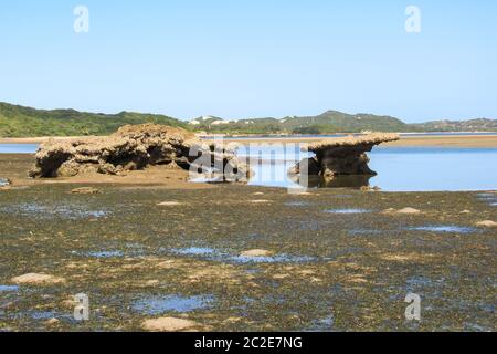 Gezeitenflachlage bei Ebbe auf der Insel KaNyaka, im Süden Mosambiks, bedeckt mit Seegras und verwitterten Strandfelsen im Hintergrund Stockfoto