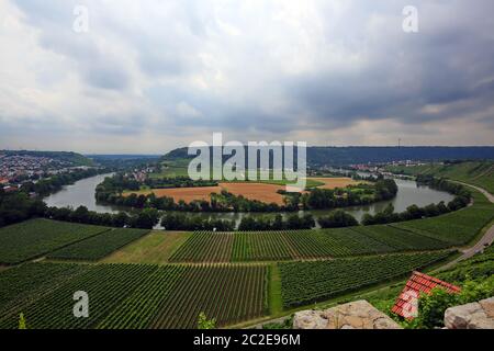 Mundelsheim am Neckar ein Weingebiet bei Stuttgart Stockfoto