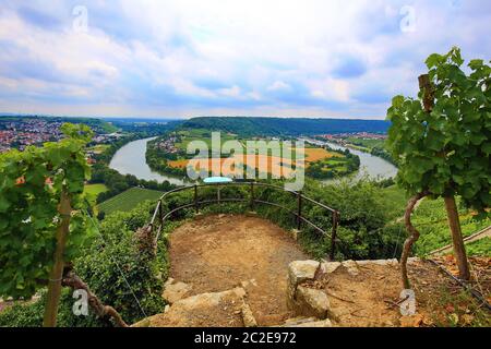 Mundelsheim am Neckar ein Weingebiet bei Stuttgart Stockfoto