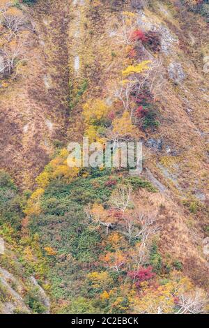 Landschaft Herbst von Hakuba Tal in Nagano Chubu Japan Stockfoto