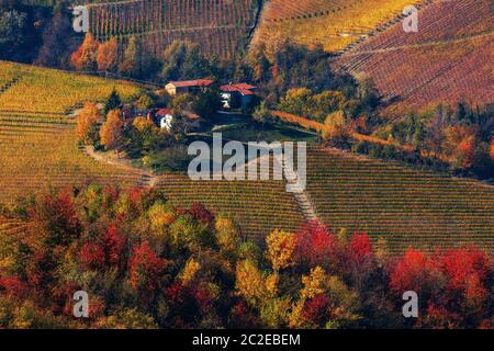 Blick von oben auf die ländlichen Häuser auf dem Hügel unter bunten herbstlichen Weinberge und Bäume im Piemont, Norditalien. Stockfoto