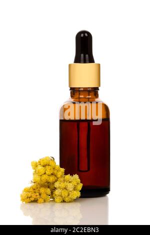 Flasche wesentliche immortelle Öl auf weißem Hintergrund. Heilpflanze Helichrysum italicum. Stockfoto