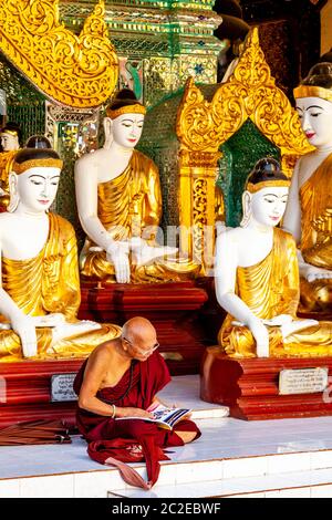 Ein buddhistischer Mönch an der Shwedagon Pagode, Yangon, Myanmar. Stockfoto