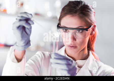 Life-Wissenschaftler forschen im Labor. Konzentrierte sich weibliche Biowissenschaften Pipettieren Profilösung in die Glas-Küvette. Objektiv-Fokussierung auf researche Stockfoto