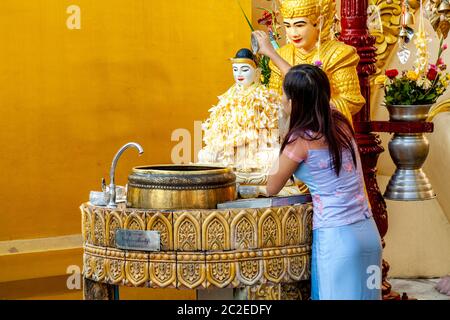 Eine junge Burmesen, die Buddha in der Shwedagon Pagode, Yangon, Myanmar, baden. Stockfoto