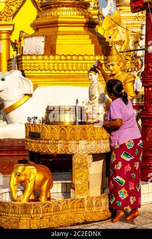 Eine burmesische Frau, die Buddha in der Shwedagon Pagode, Yangon, Myanmar, baden lässt. Stockfoto