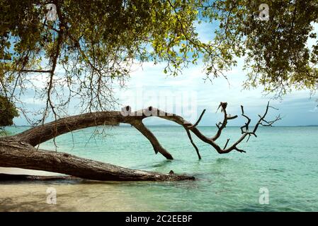 Die unberührte karibische Insel: Cayo Zapatilla #1, Bocas del Toro Provinz, Panama. Oktober 2018 Stockfoto