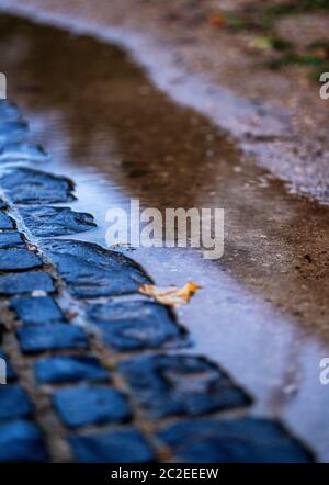 Kopfsteinpflaster und eine Pfütze von Wasser mit einem gefallenen Blatt innen. Stockfoto