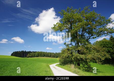 Landschaft bei Bad Endorf, Oberbayern, Deutschland, Westeuropa Stockfoto