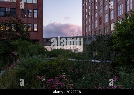 Blick auf die High Line in Manhattan Sommer Stockfoto