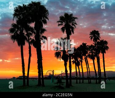 Wunderschöner Sonnenuntergang hinter den Santa Monica Bergen an einem warmen Sommerabend. Palmen im Vordergrund und der Santa Monica Pier im Hintergrund. Stockfoto